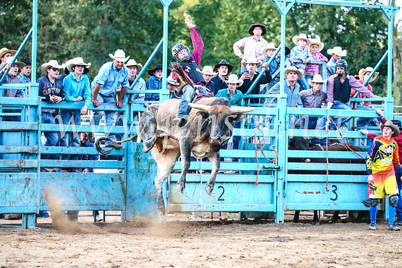 TumutRodeo2017_3429