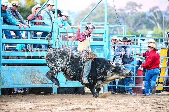 TumutRodeo2017_3478