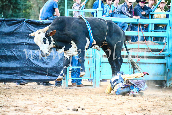 TumutRodeo2017_3419