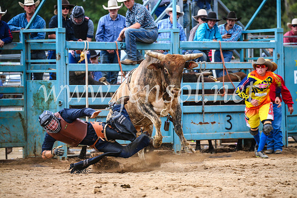 TumutRodeo2017_2117