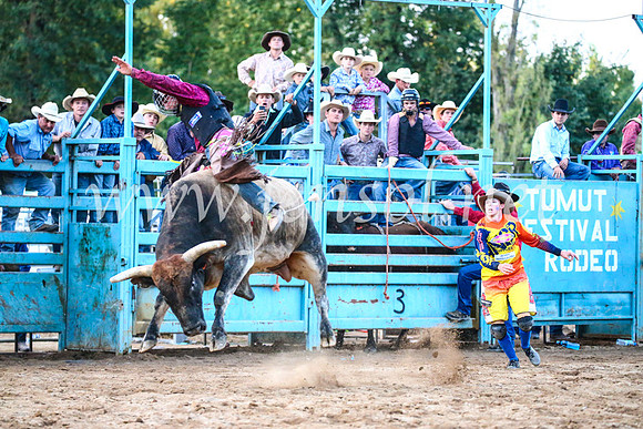 TumutRodeo2017_3449