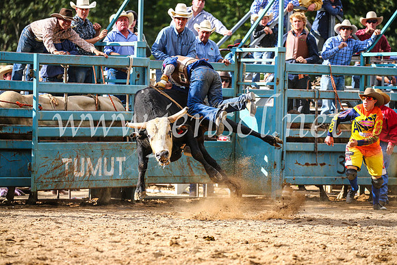 TumutRodeo2017_1966