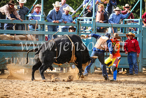 TumutRodeo2017_1968