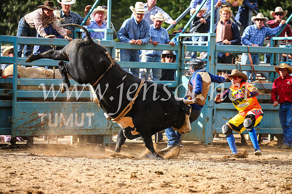 TumutRodeo2017_1958