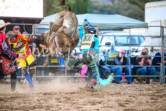 TumutRodeo2017_3515