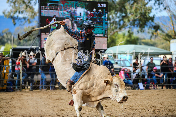 TumutRodeo2017_2000