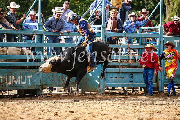 TumutRodeo2017_1950