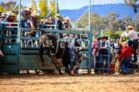 TumutRodeo2017_2022