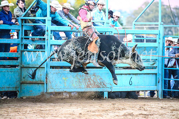TumutRodeo2017_3467