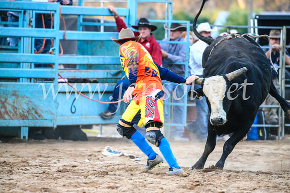 TumutRodeo2017_3384