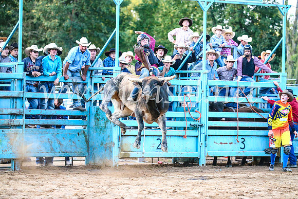 TumutRodeo2017_3428
