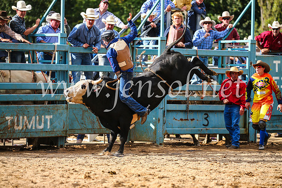 TumutRodeo2017_1949