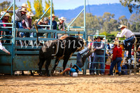 TumutRodeo2017_2023
