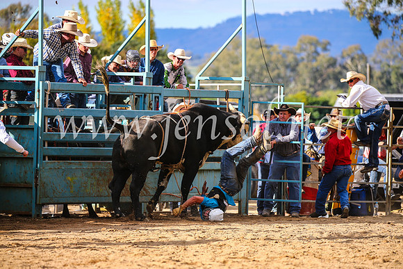 TumutRodeo2017_2023