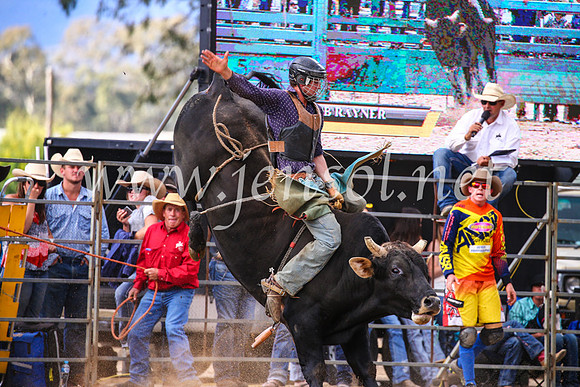 TumutRodeo2017_2074