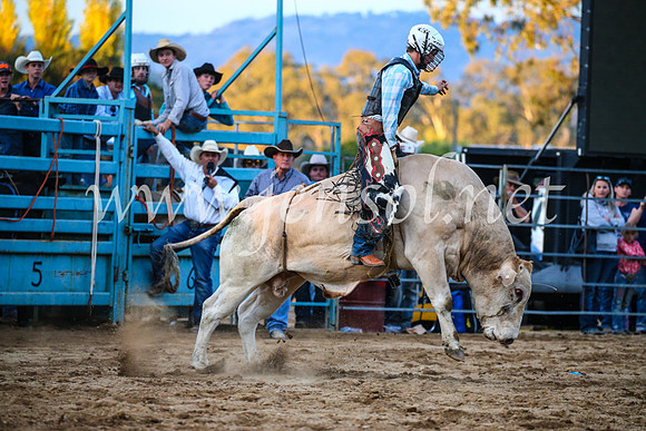 TumutRodeo2017_3345