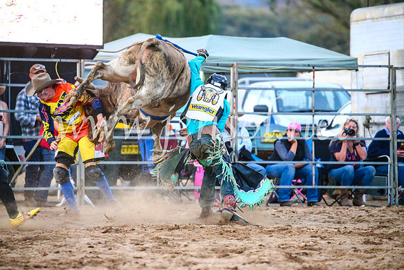 TumutRodeo2017_3520