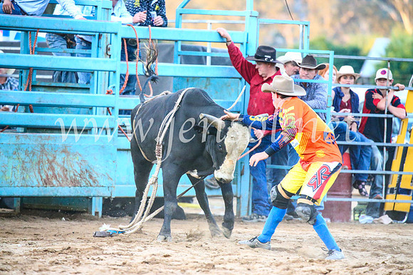 TumutRodeo2017_3376