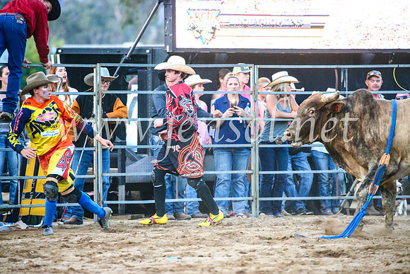 TumutRodeo2017_3530