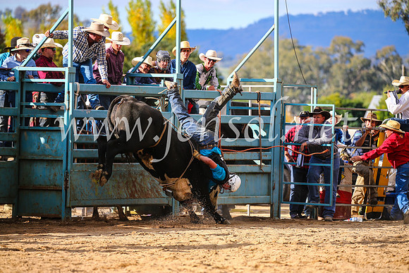 TumutRodeo2017_2008
