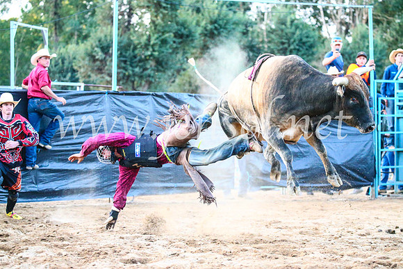 TumutRodeo2017_3459