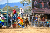 TumutRodeo2017_2031