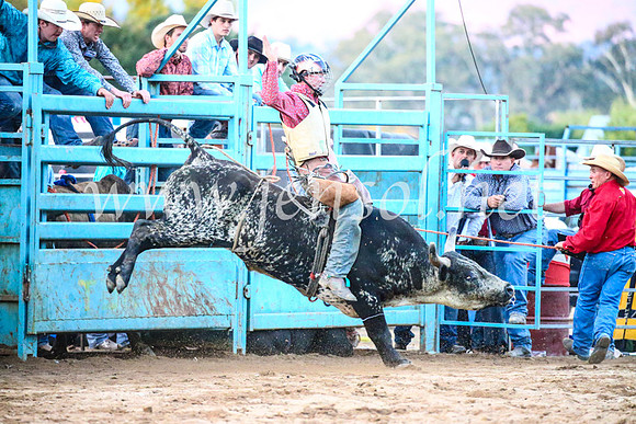 TumutRodeo2017_3477
