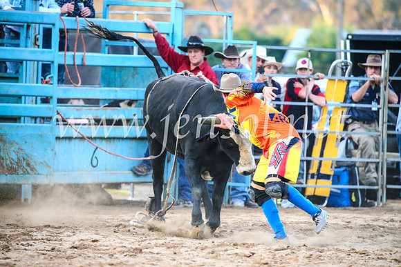 TumutRodeo2017_3379
