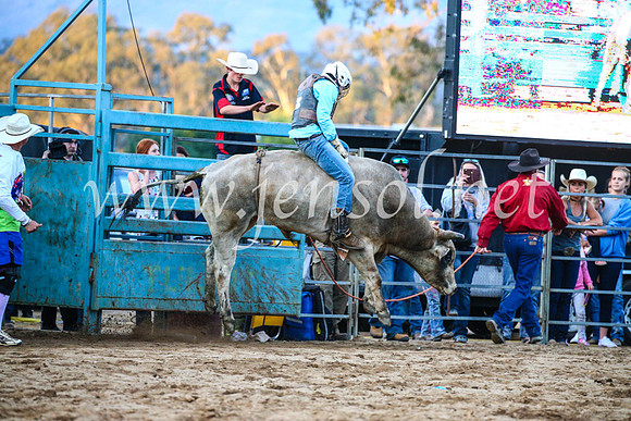 TumutRodeo2017_3358
