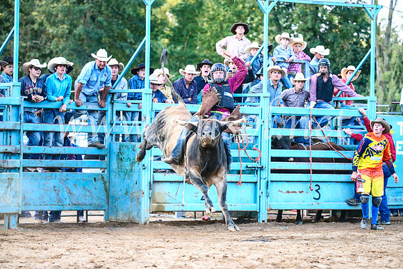 TumutRodeo2017_3437