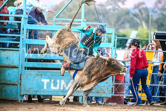 TumutRodeo2017_3501