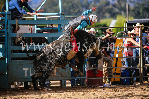 TumutRodeo2017_2050