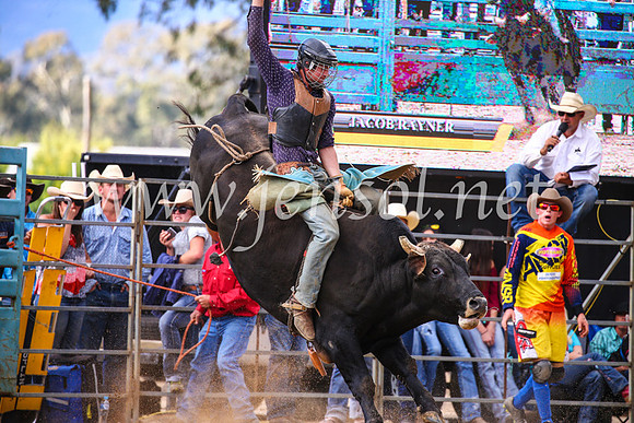 TumutRodeo2017_2061