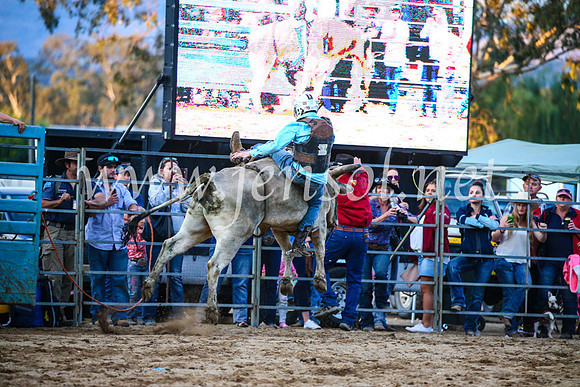 TumutRodeo2017_3352