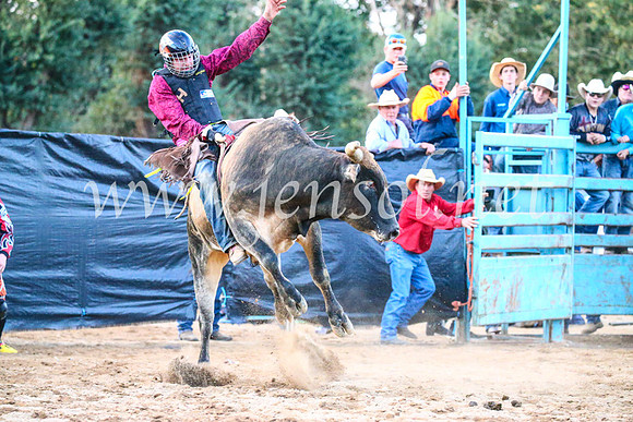 TumutRodeo2017_3446