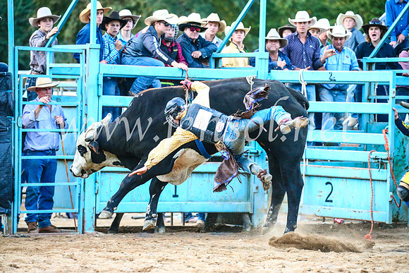 TumutRodeo2017_3426