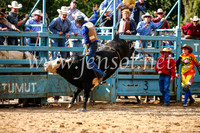 TumutRodeo2017_1951