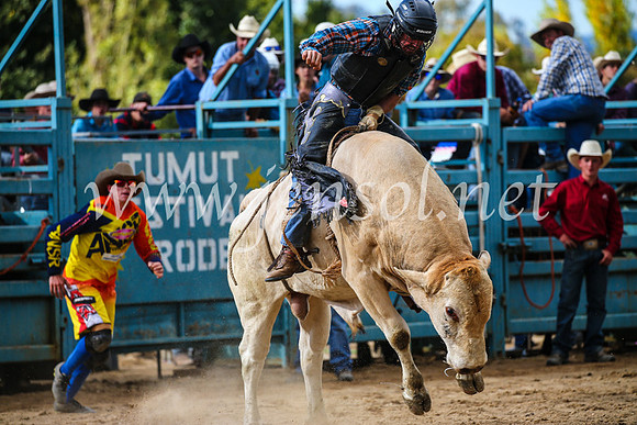 TumutRodeo2017_1991