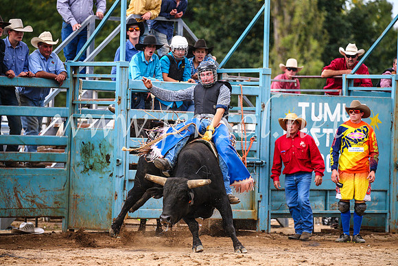 TumutRodeo2017_2118