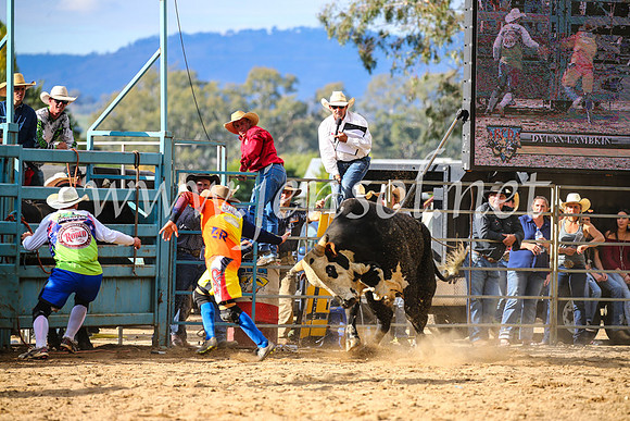 TumutRodeo2017_2029