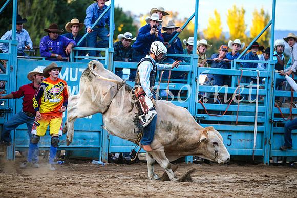 TumutRodeo2017_3343
