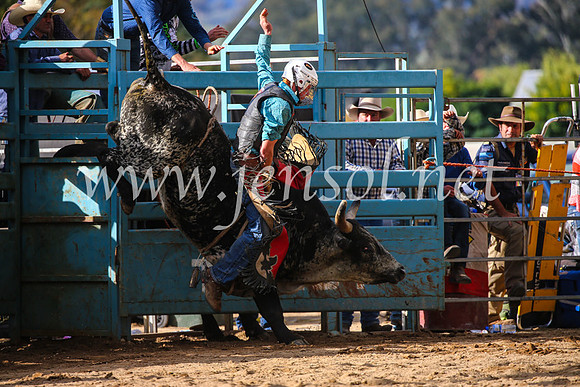 TumutRodeo2017_2037