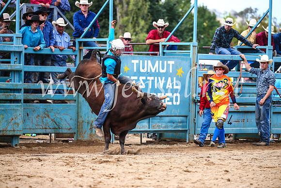 TumutRodeo2017_2134