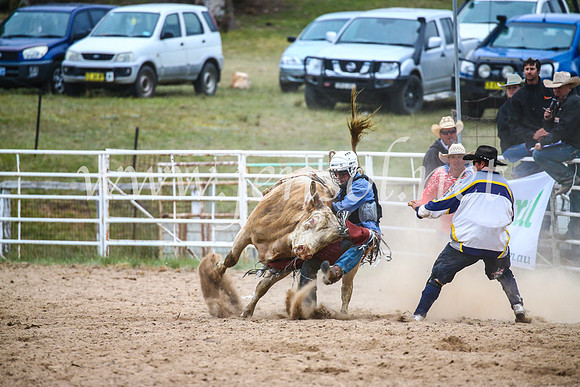 BungendoreRodeo2017_7384