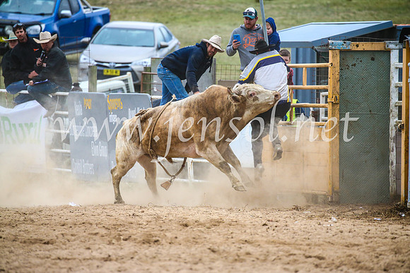 BungendoreRodeo2017_7390