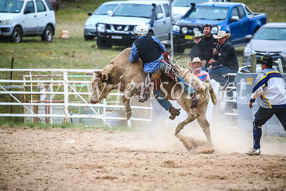 BungendoreRodeo2017_7359
