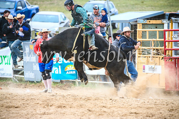 BungendoreRodeo2017_7253