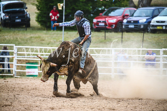 BungendoreRodeo2017_7158