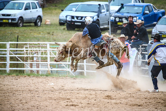 BungendoreRodeo2017_7360