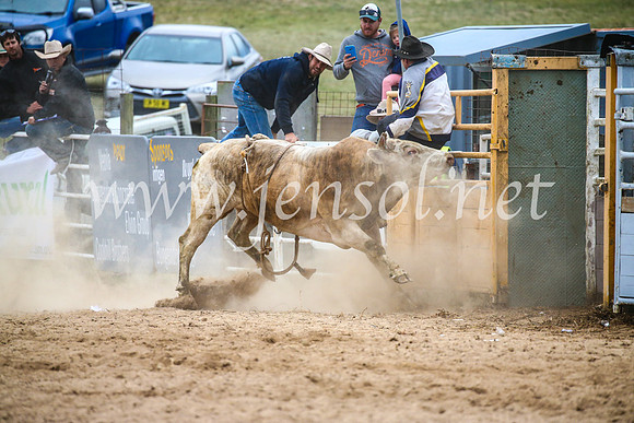 BungendoreRodeo2017_7389